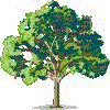 tree1.gif (5206 Byte)